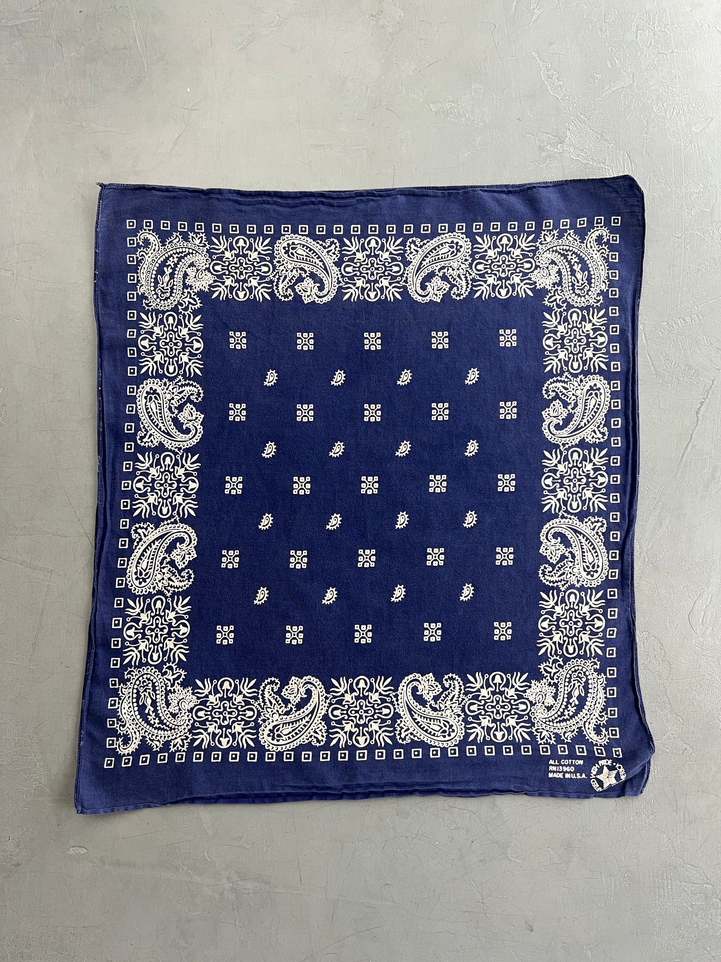 Paisley Bandana