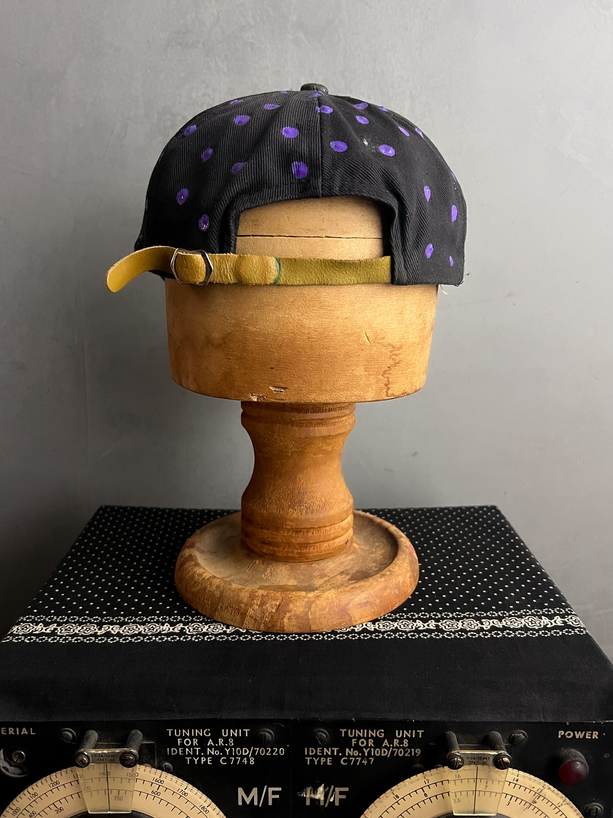 Hand Painted Fish Cap