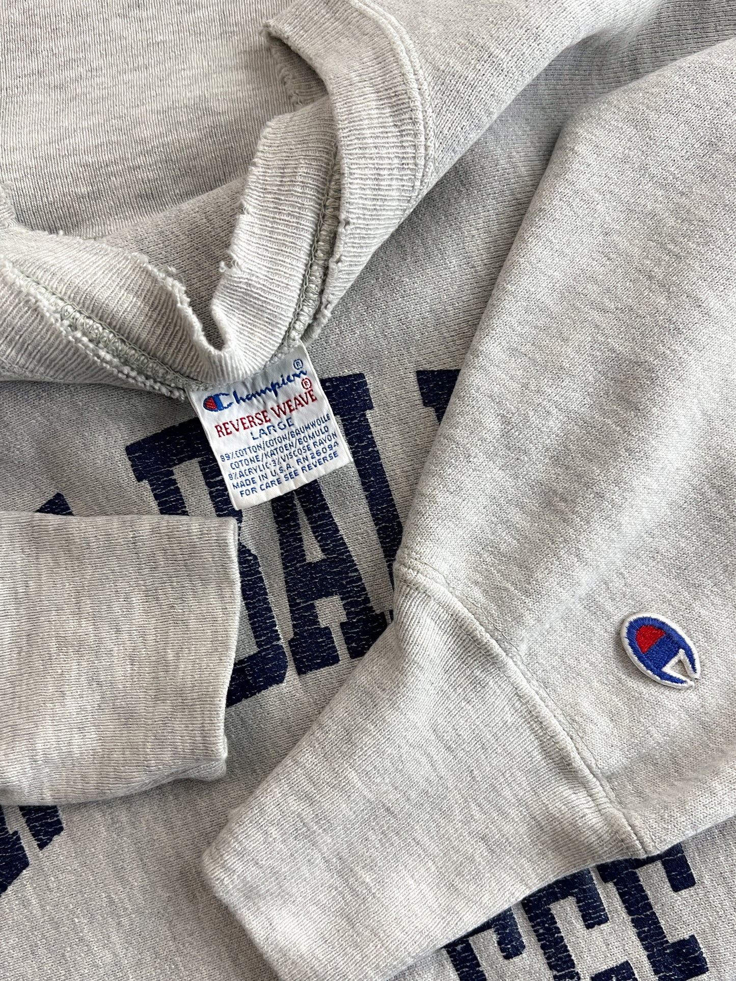 1990's Made in USA Champion Reverse Weave [L]