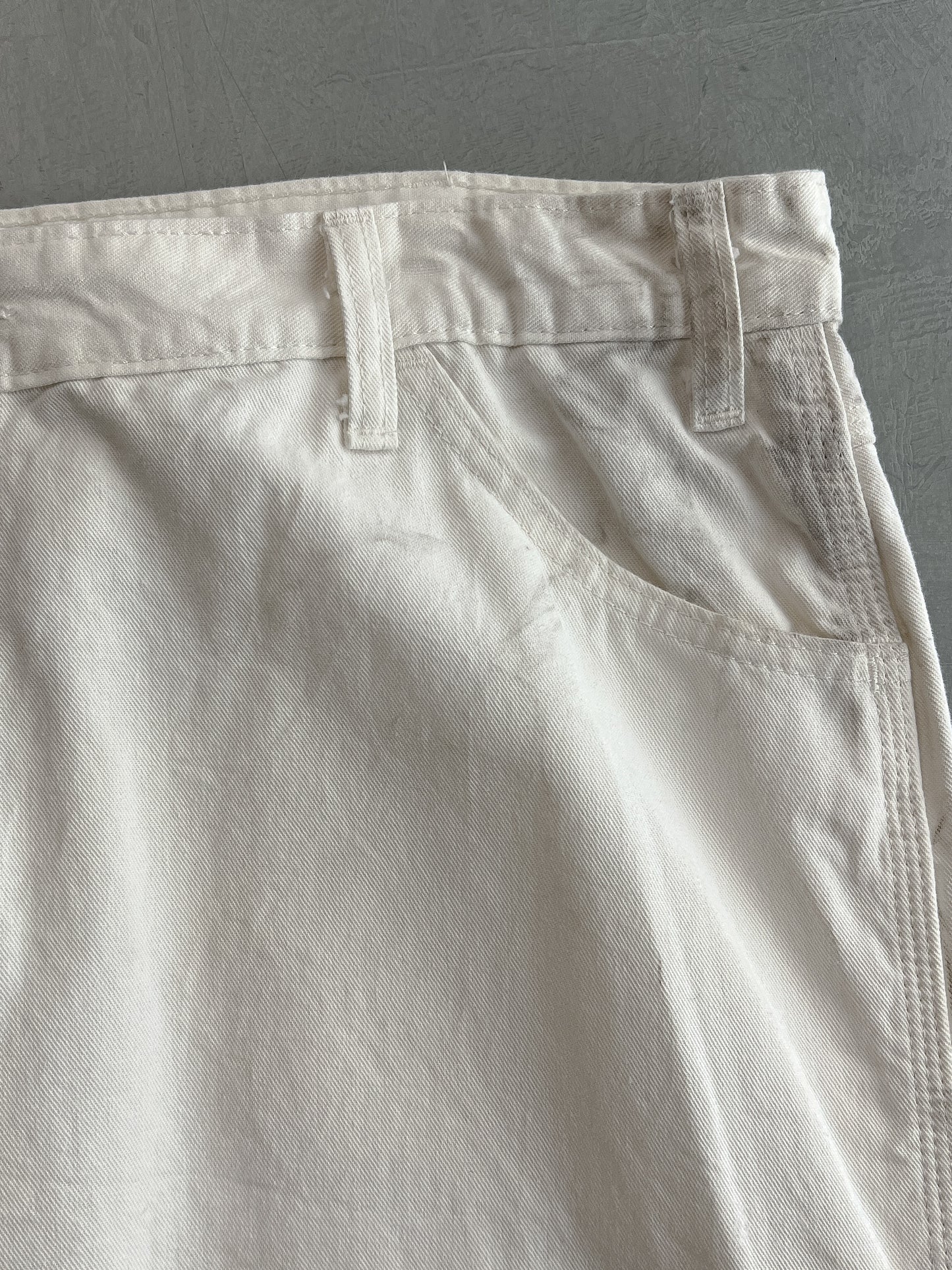 Dickies Painter Pants [36"]