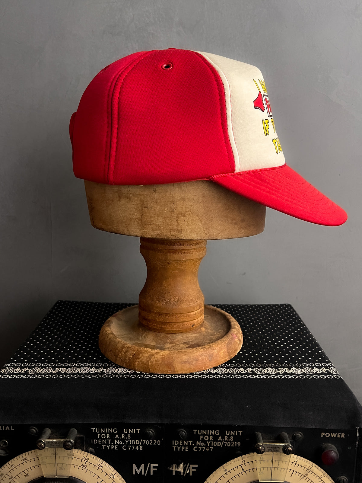"I Have The Panties If You Have The Hose" Slogan Trucker Cap