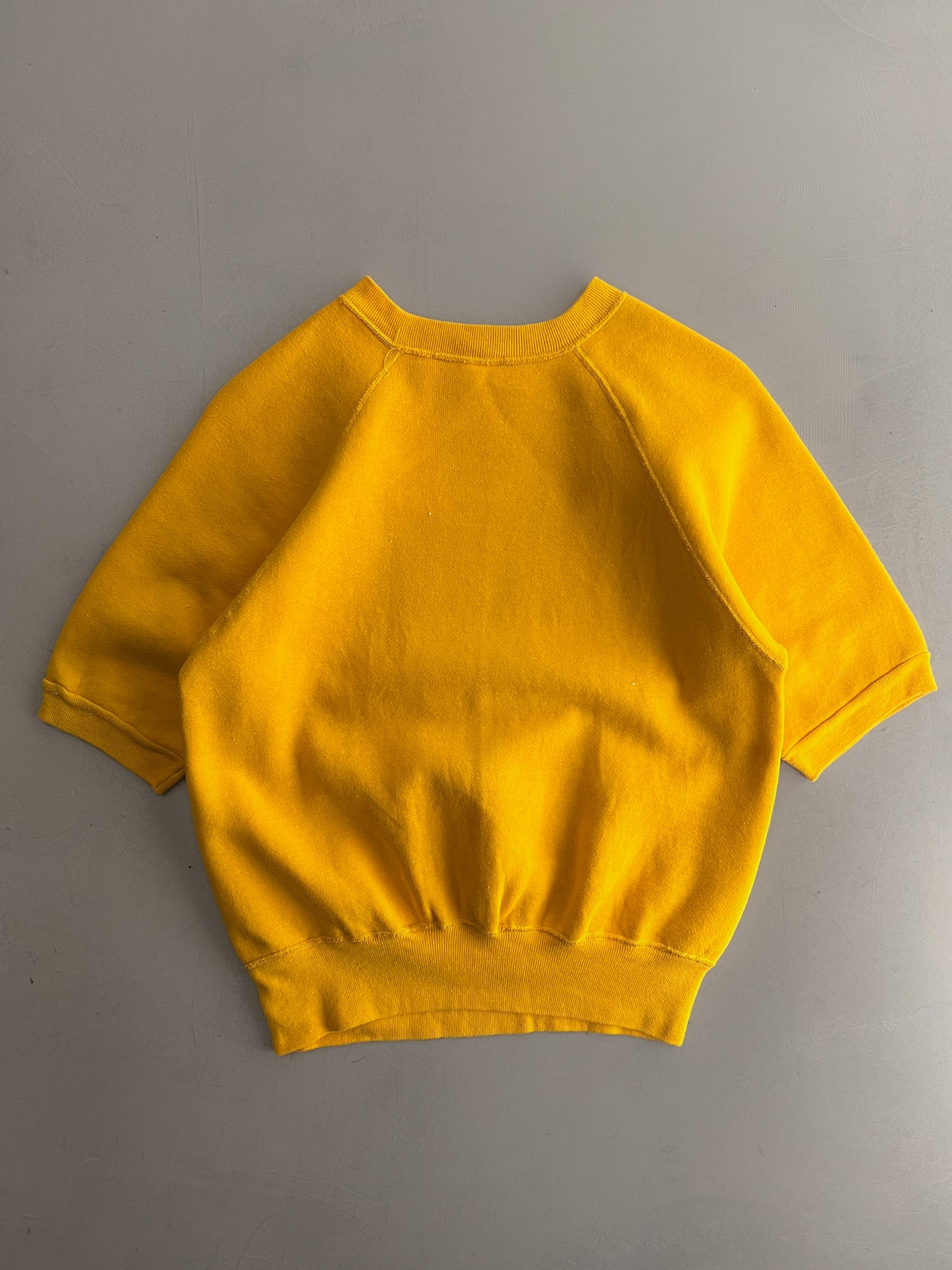 1970's Pride of Raiders Short Sleeve Sweatshirt [M]