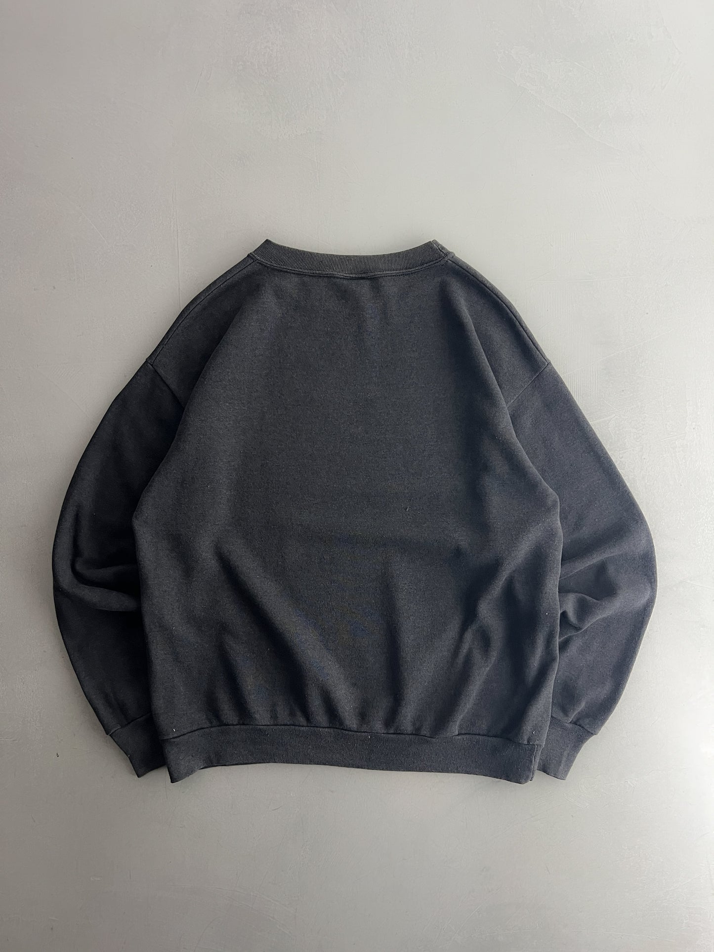 Sunfaded Crewneck Sweatshirt [L]