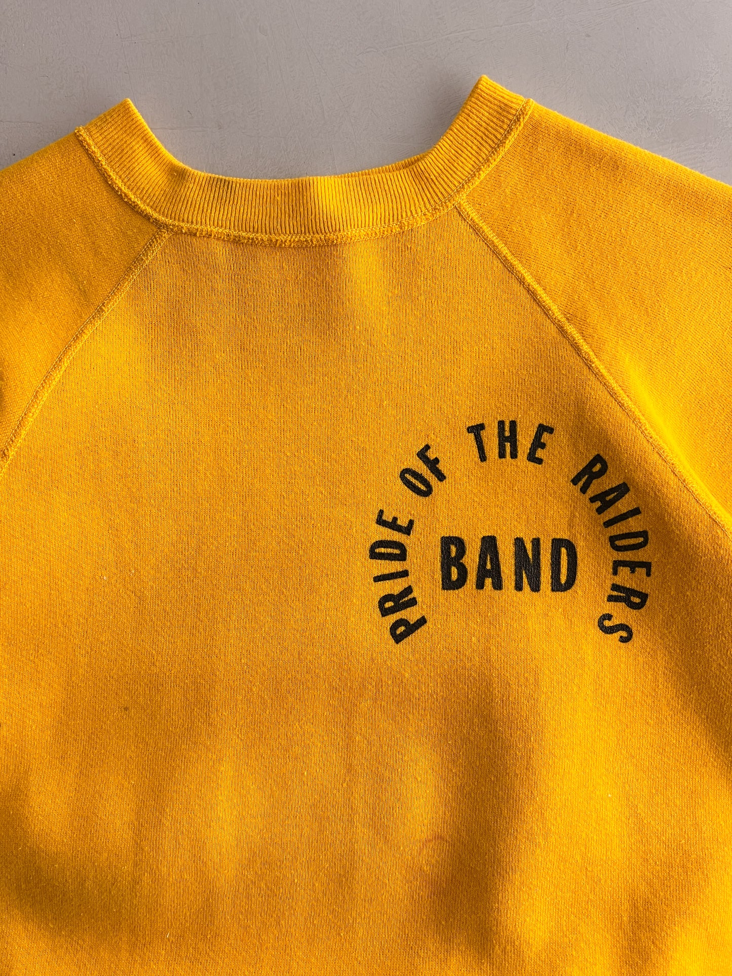 1970's Pride of Raiders Short Sleeve Sweatshirt [M]