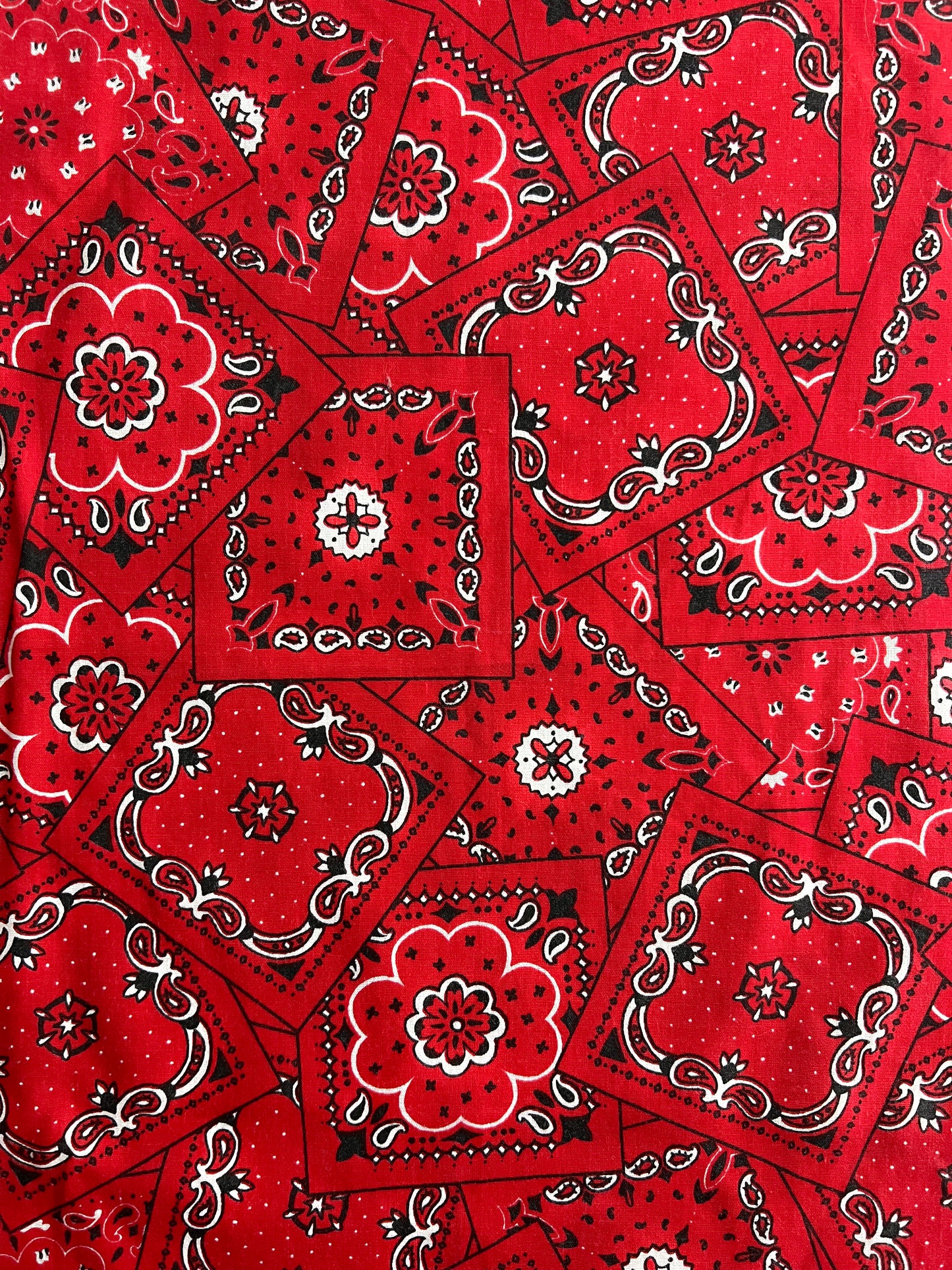 Have-A-Hank Bandanna Bandanna