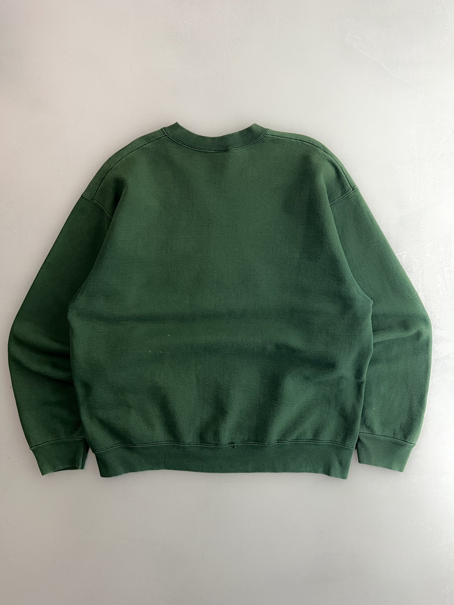 1990's Faded Michigan State Sweatshirt [L]