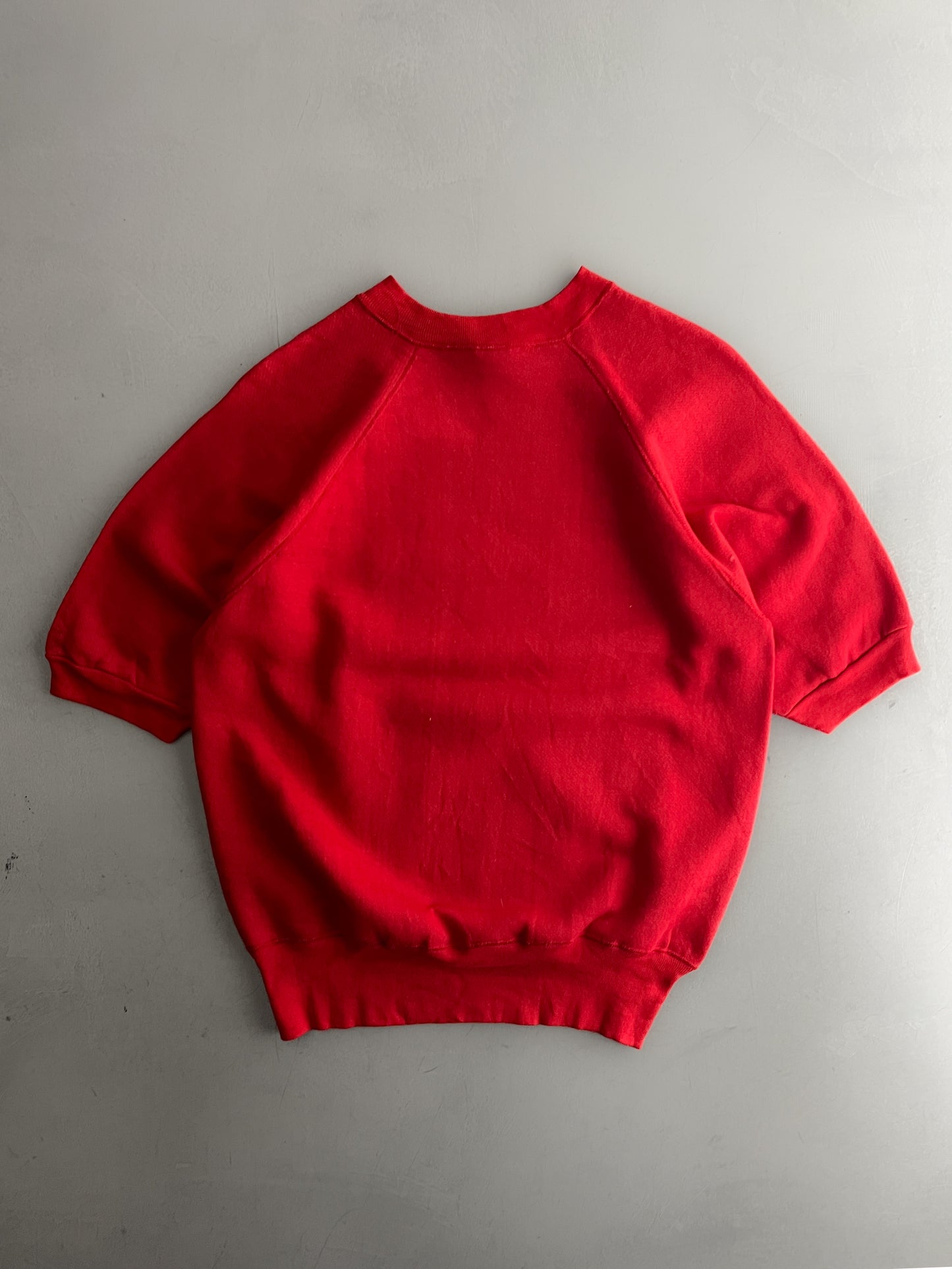 1970's Wilson Color Guard Short Sleeve Sweat [L]