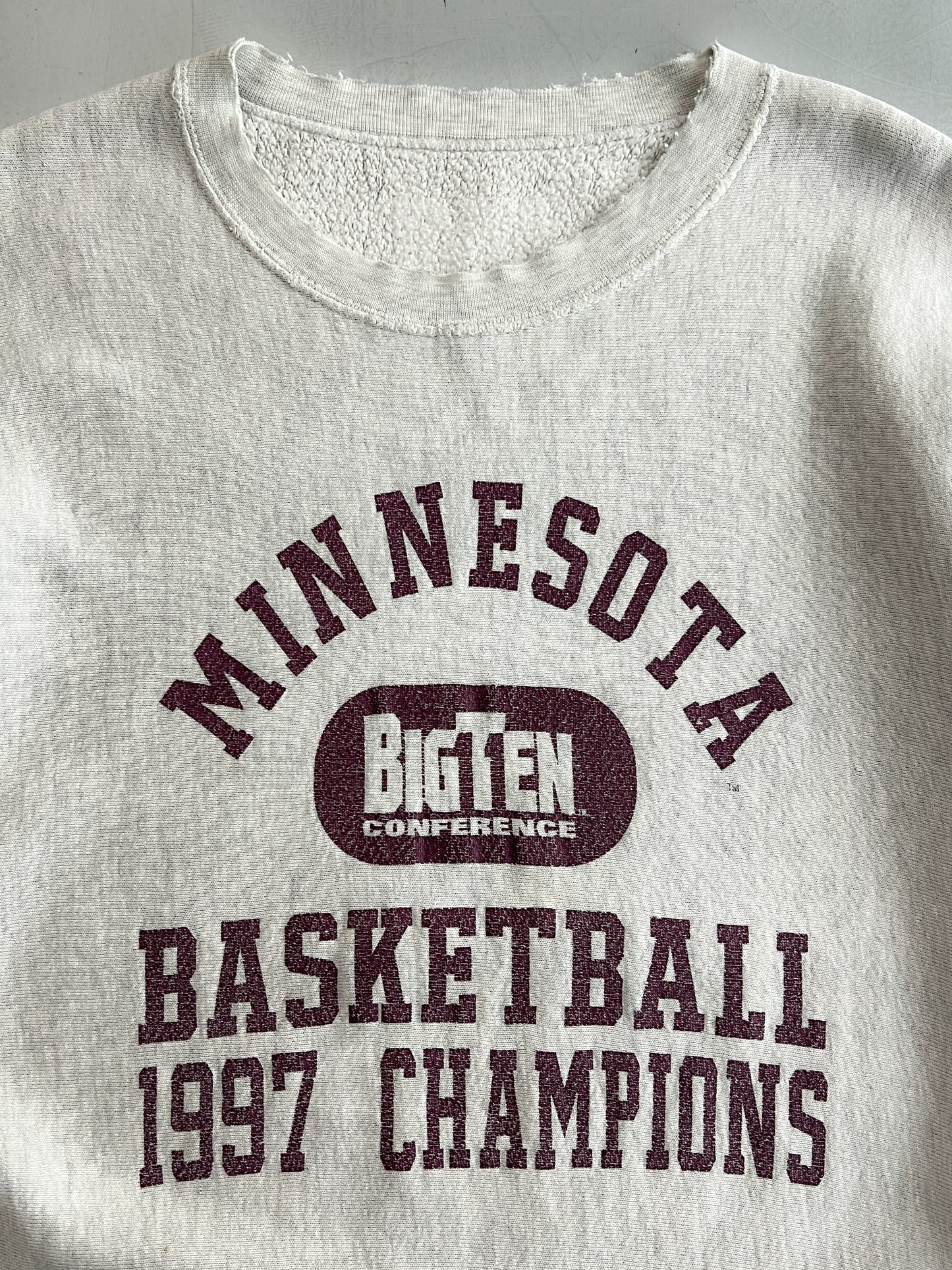 1990's Made in USA Champion Reverse Weave [L/XL]
