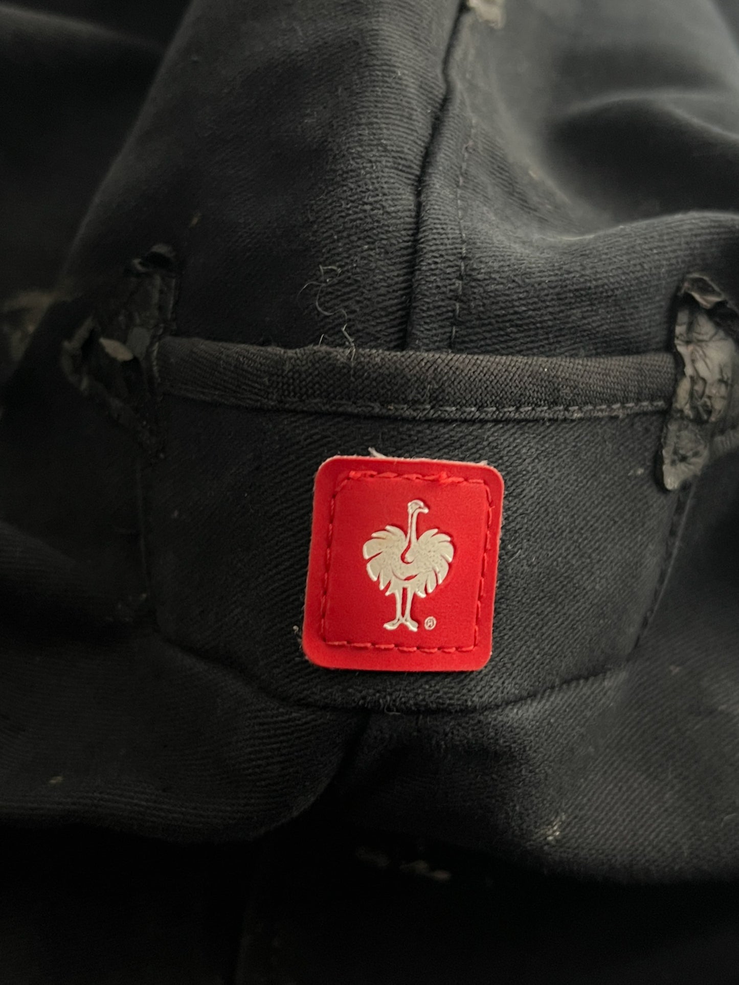 Moleskin Carpenter Pants [36"]