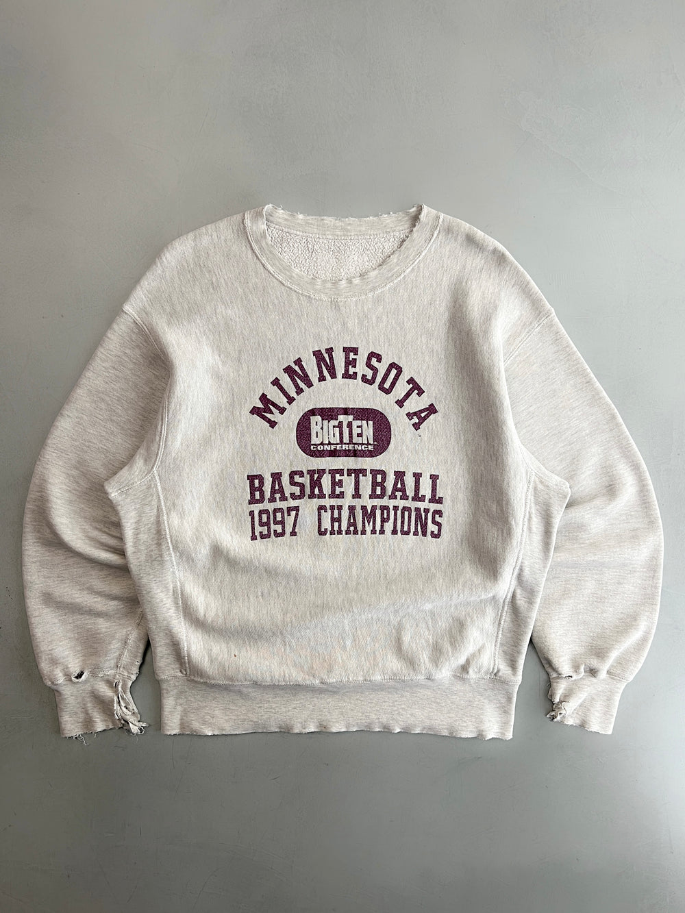 1990's Made in USA Champion Reverse Weave [L/XL]