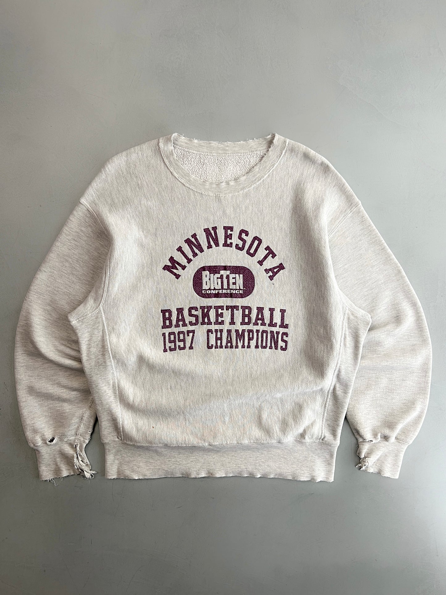 1990's Made in USA Champion Reverse Weave [L/XL]