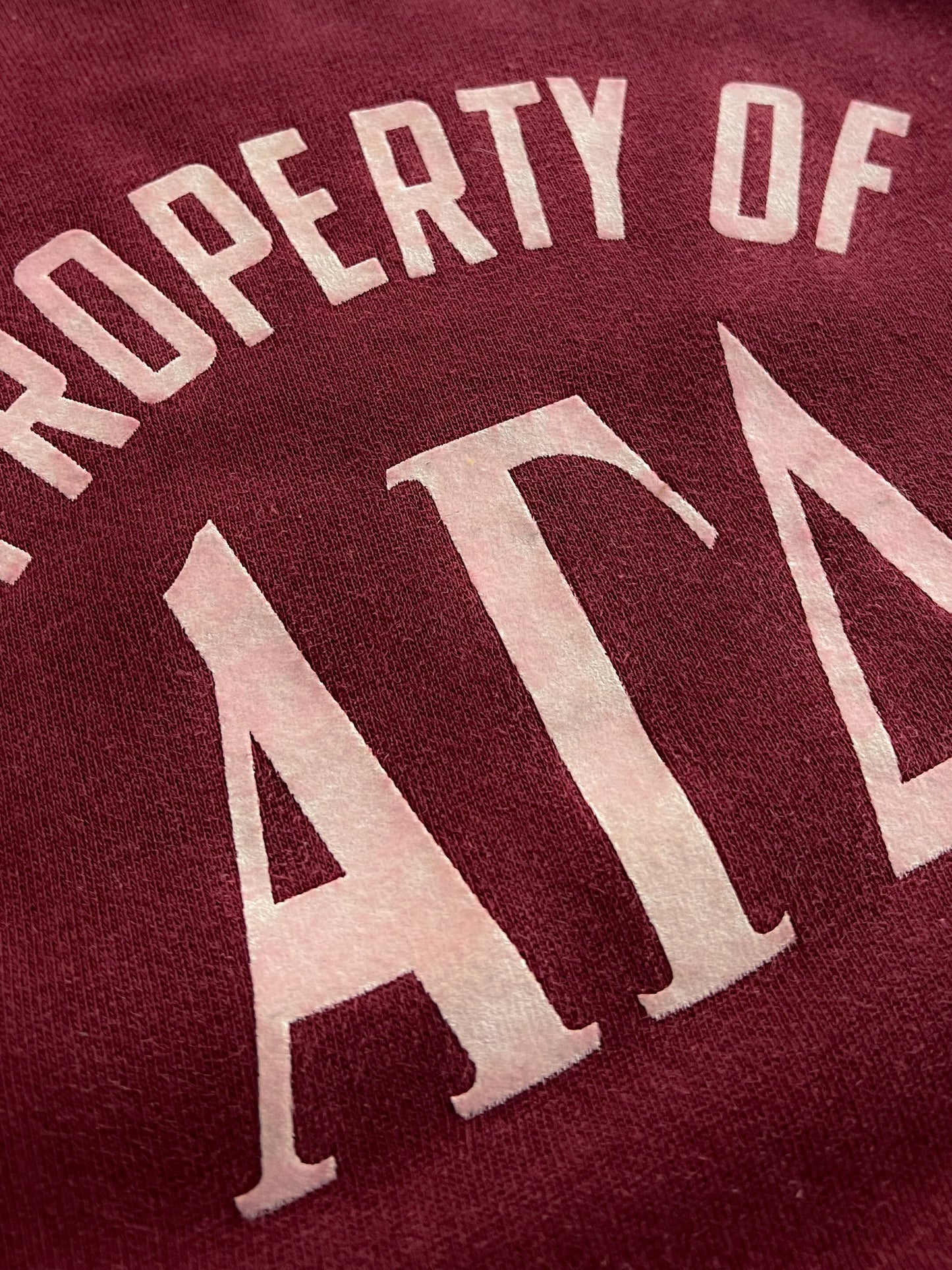 50's/60's Faded Sorority Short Sleeve Sweatshirt [M/L]