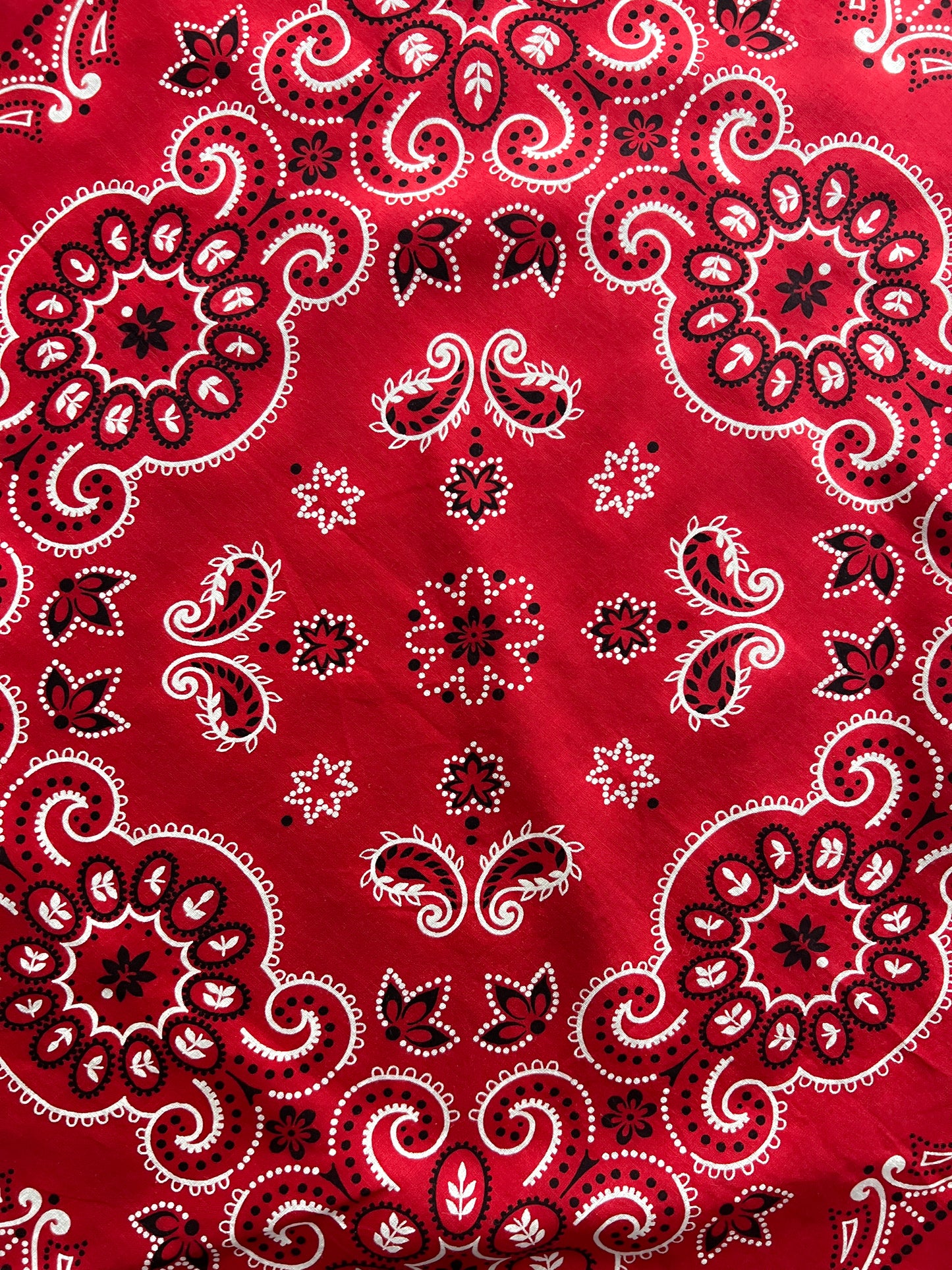 Fast Colour Selvage Bandanna