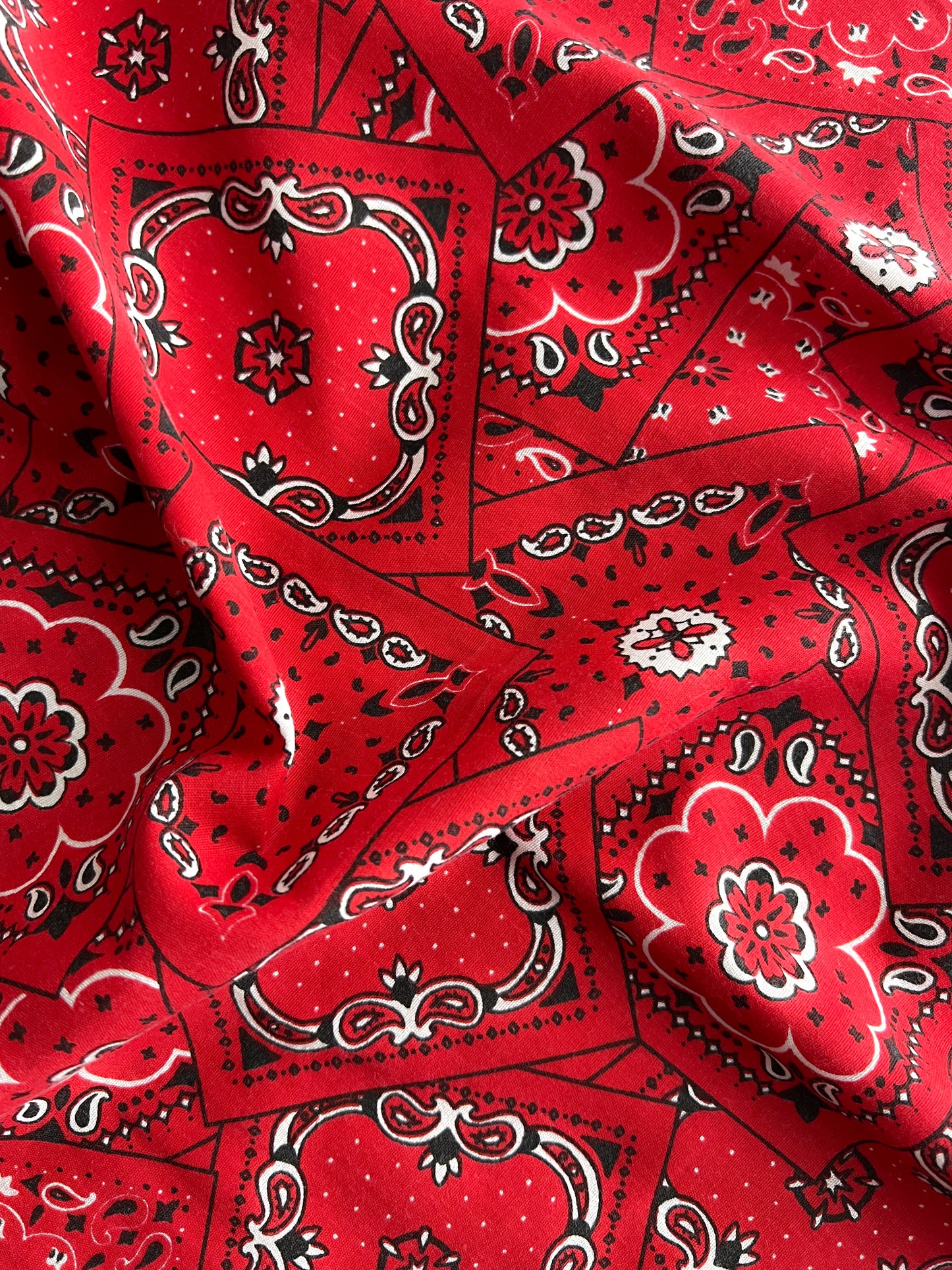 Have-A-Hank Bandanna Bandanna
