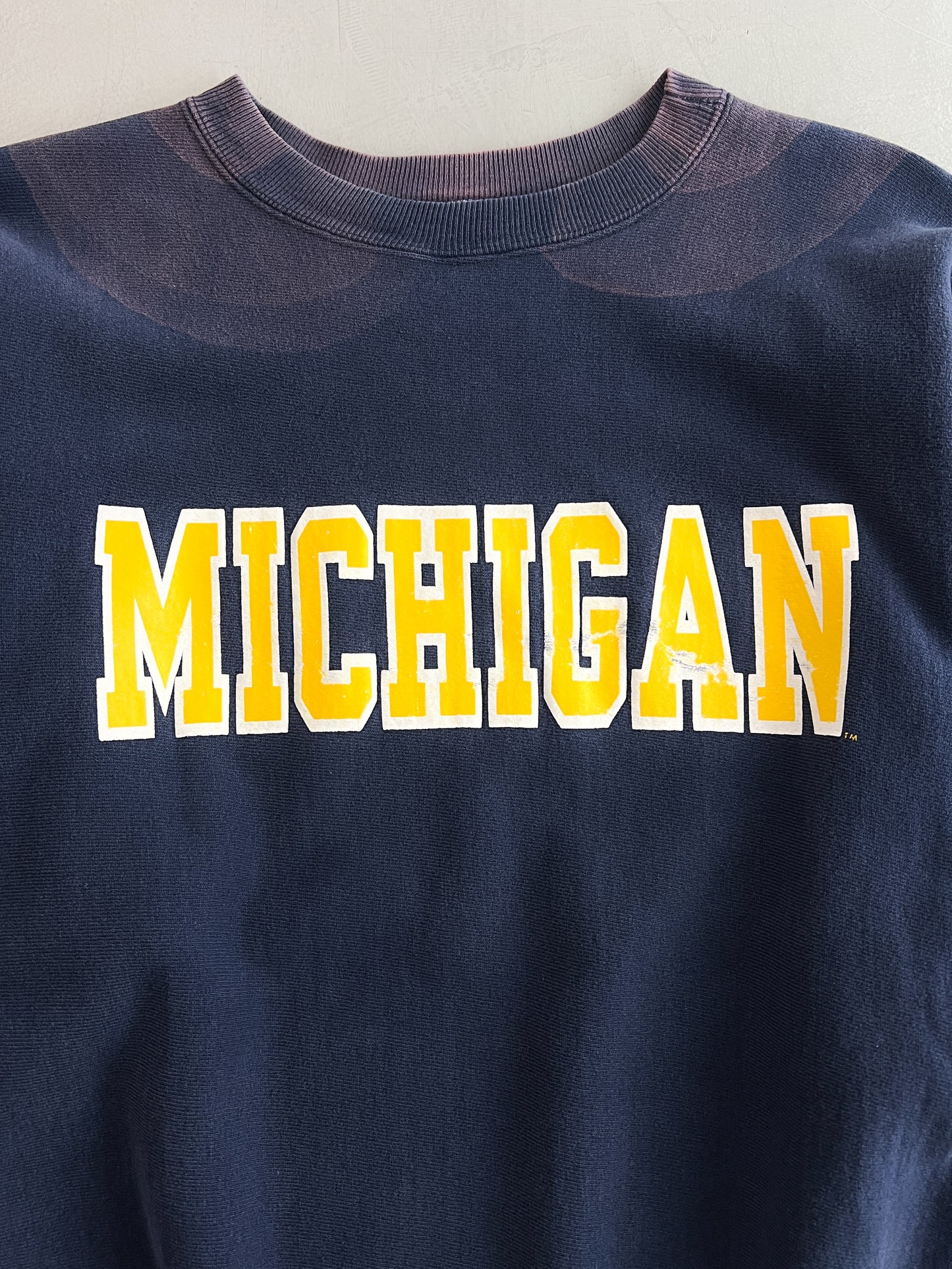 Made in USA Champion Reverse Weave Michigan Sweatshirt [L]