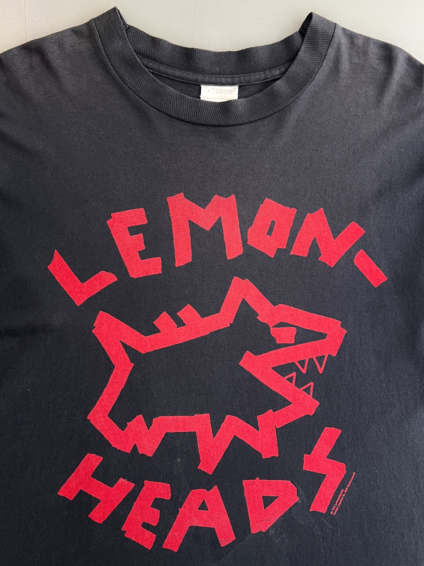 90's Lemon Heads "Come On Feel" Long Sleeve Tee [L]