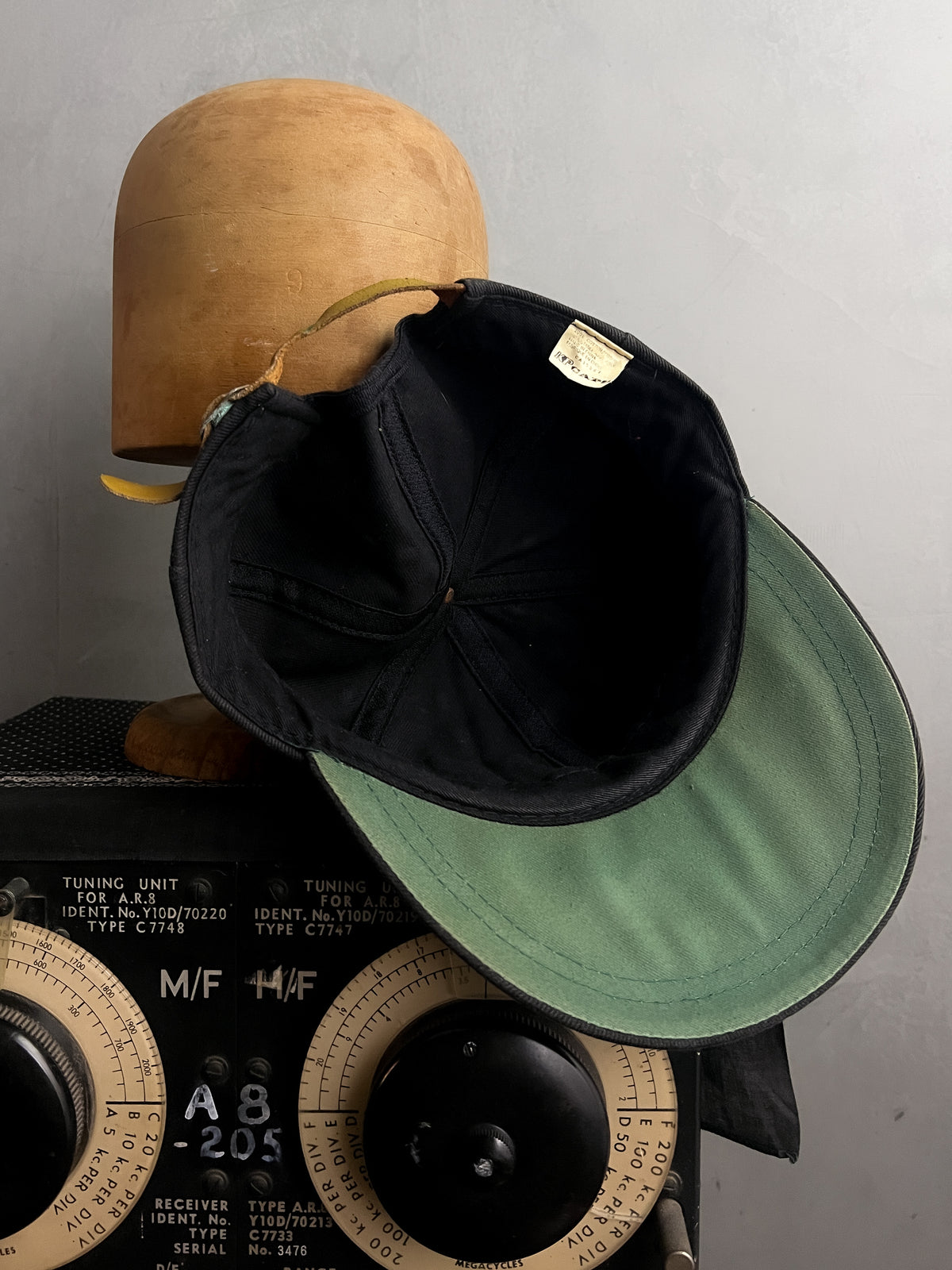 Hand Painted Fish Cap