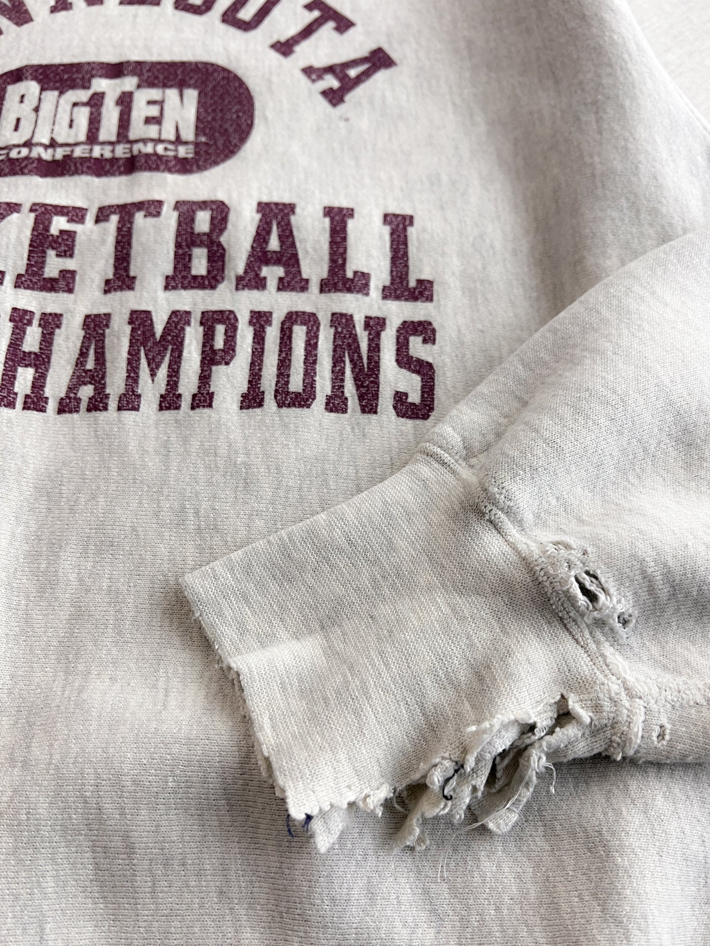 1990's Made in USA Champion Reverse Weave [L/XL]