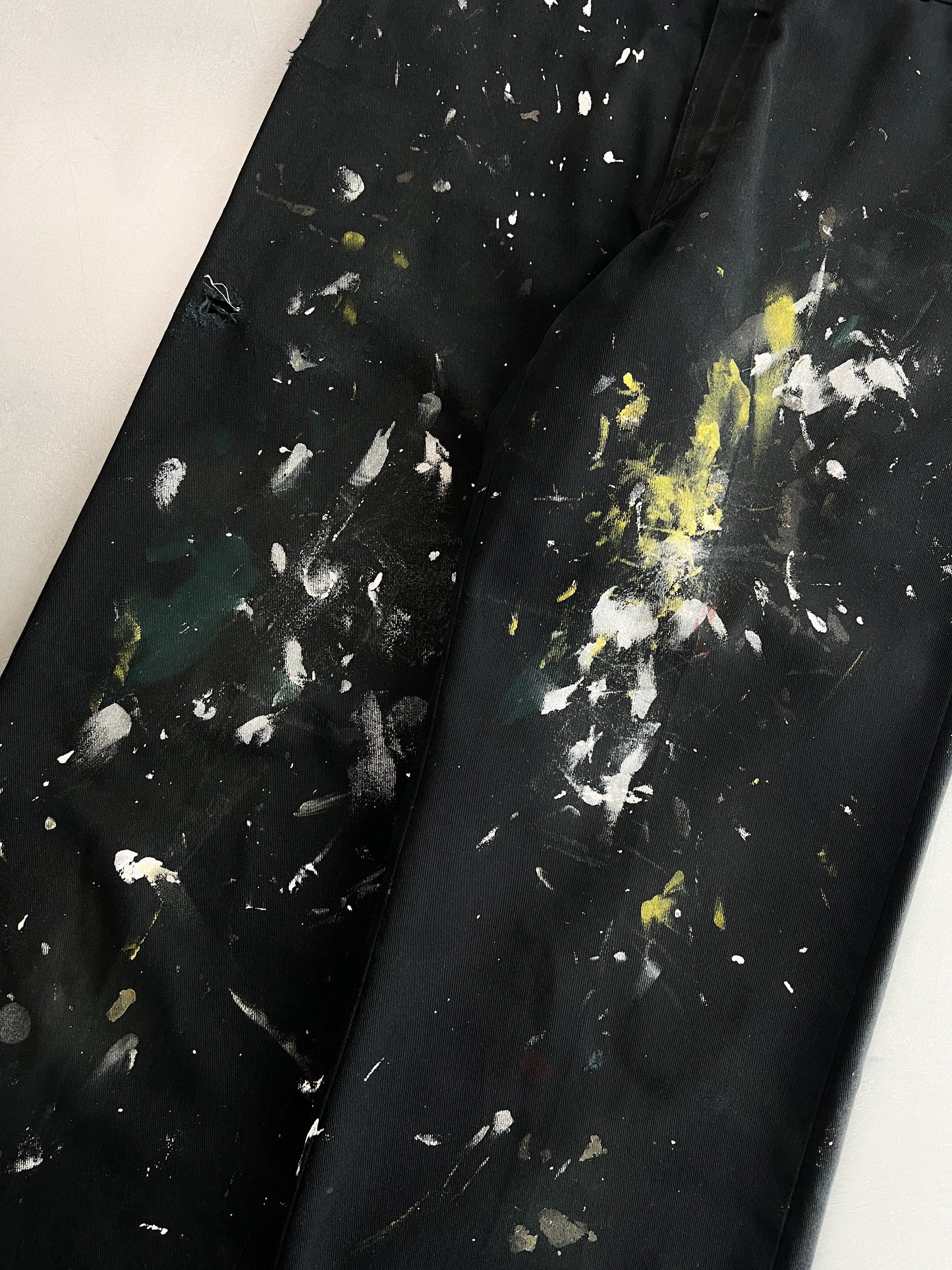 Dickies Painter Pants [29"]