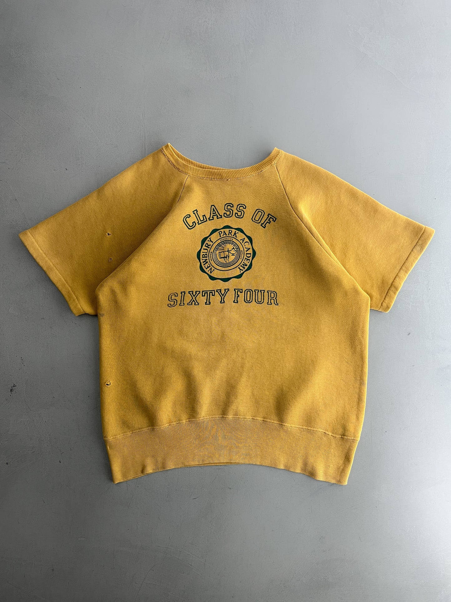Faded 1960's Newbury Park Academy Sweatshirt [L]