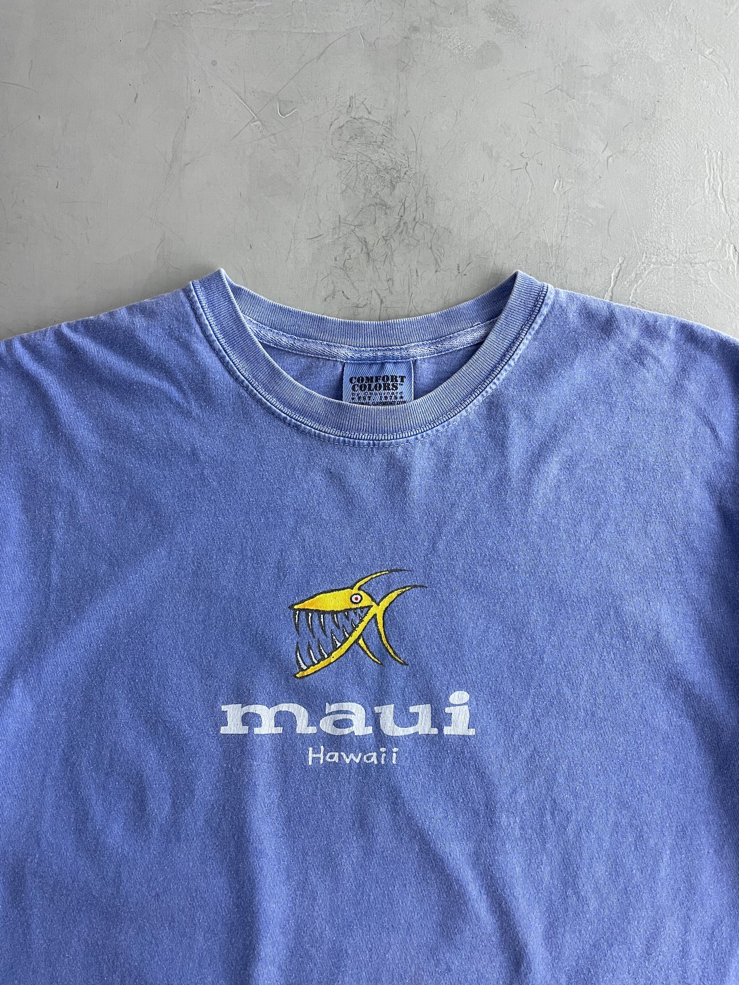 Faded Maui Hawaii Tee [L]