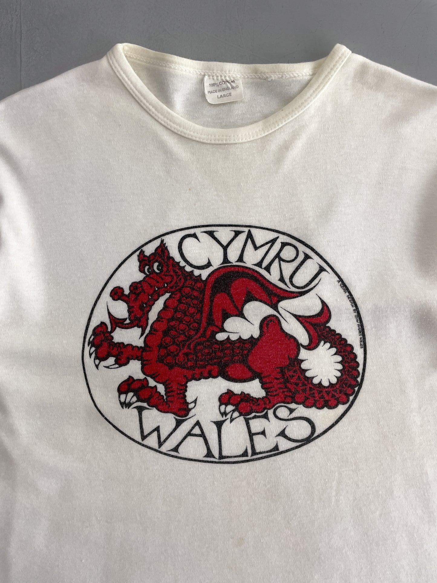 Cympru Whales Ringer [M]