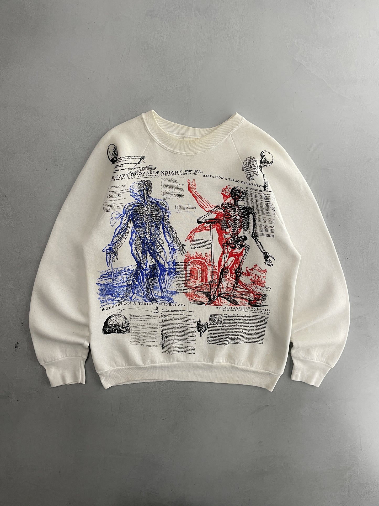 Anatomy Sweatshirt [L]