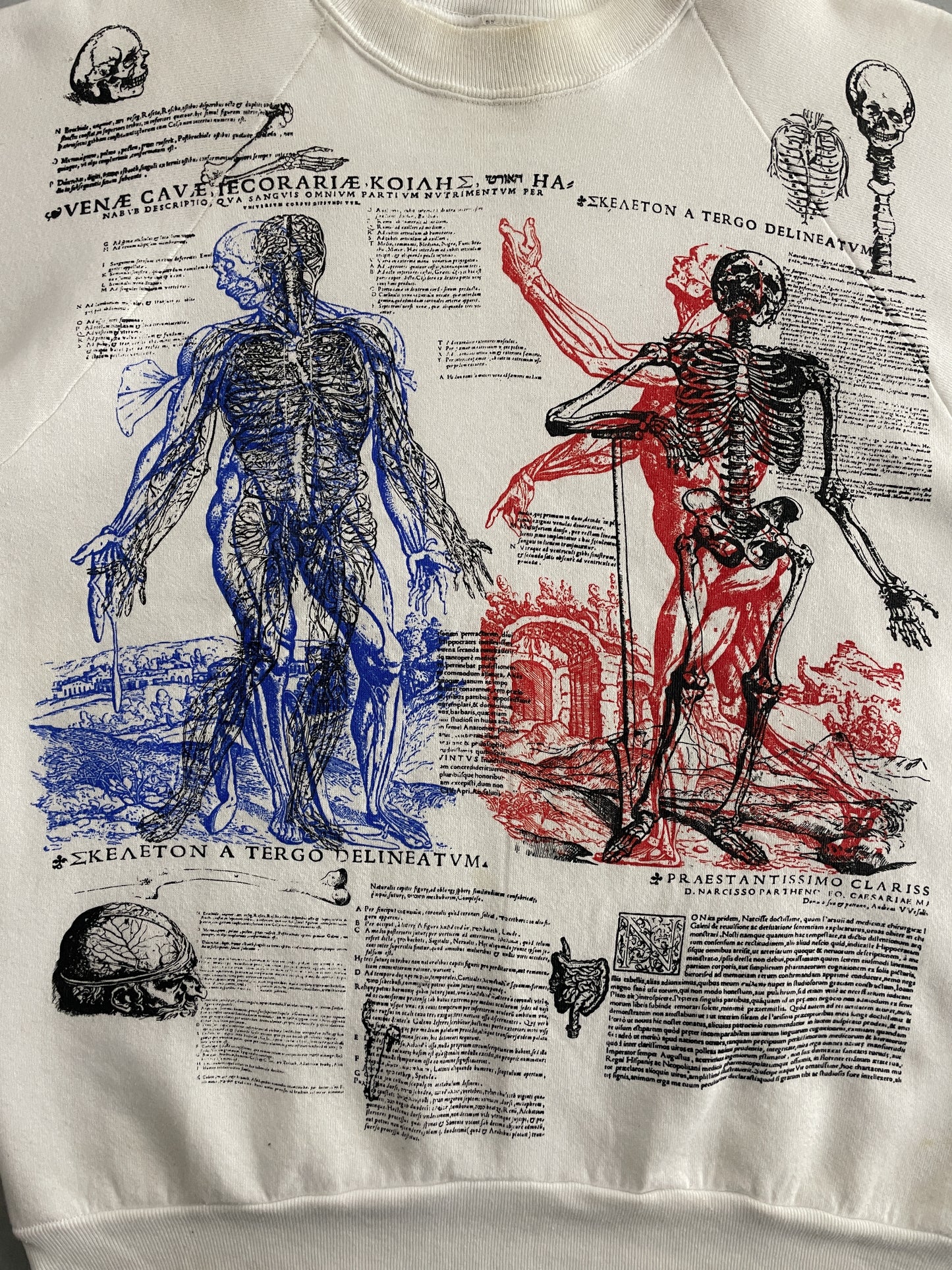 Anatomy Sweatshirt [L]