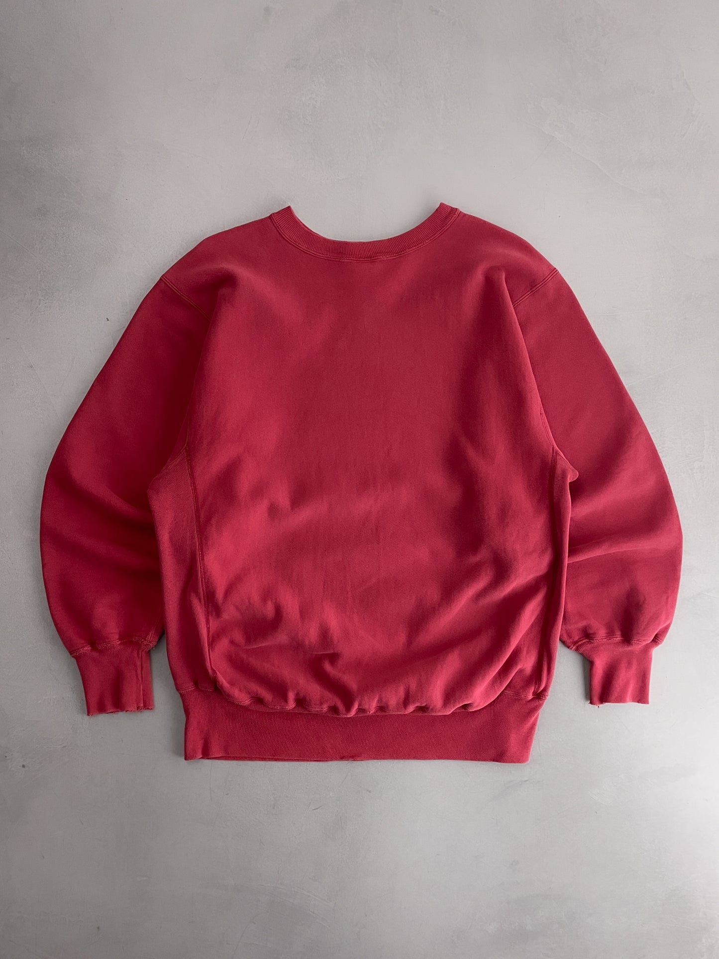 Faded Champion Reverse Weave Sweatshirt [XL]