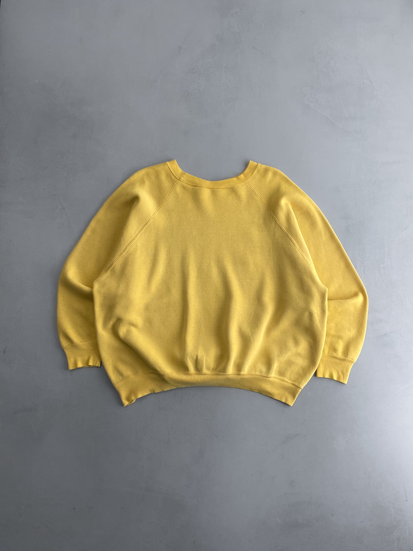 Sun-faded 70's Pitt Raglan Sweatshirt [XL]