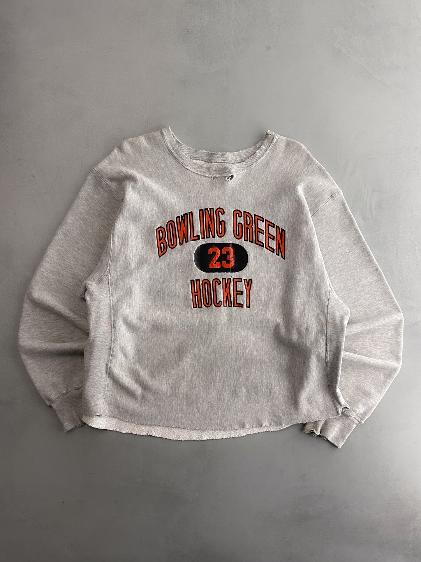 Made in USA Champion Reverse Weave Sweatshirt [XL]