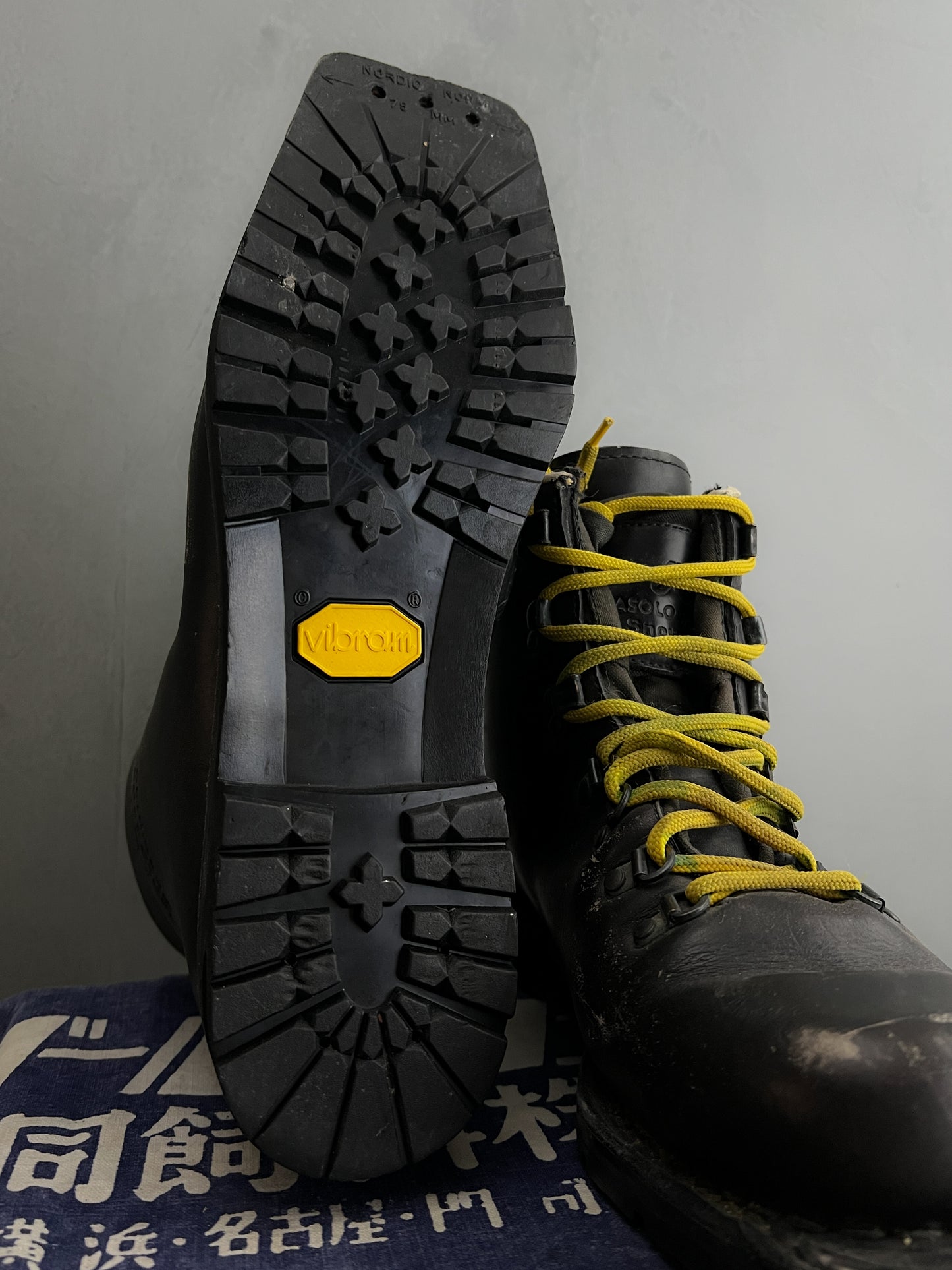 Asolo Sport Snowpine [US10]