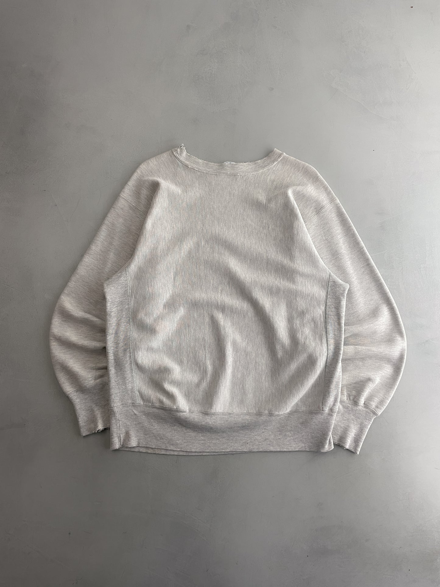 Made in USA Champion Reverse Weave Sweatshirt [L]