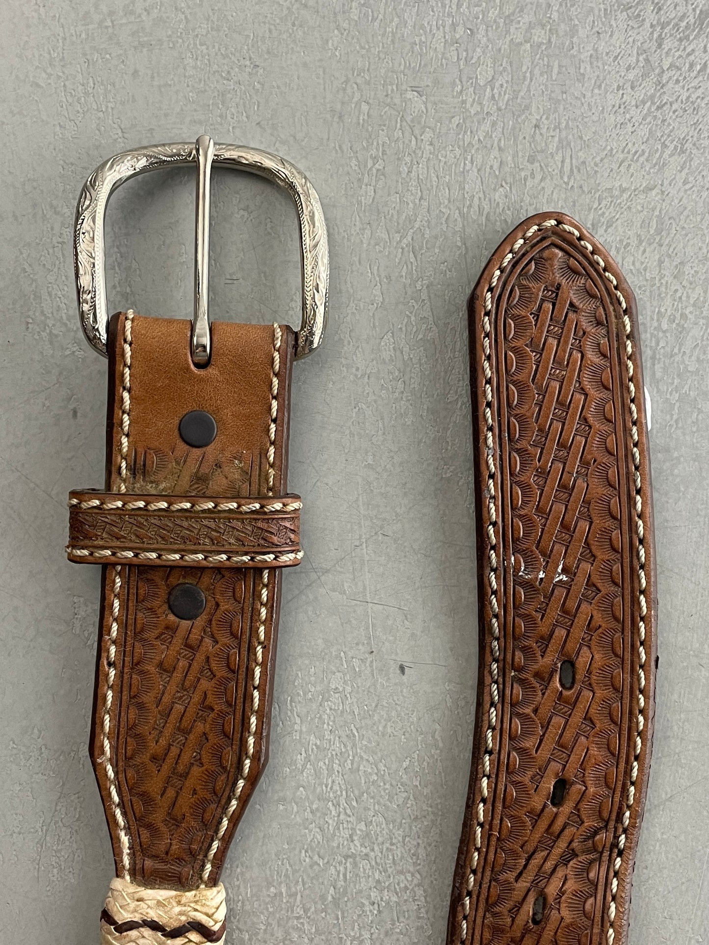 Western Conch Belt [36"-40"]