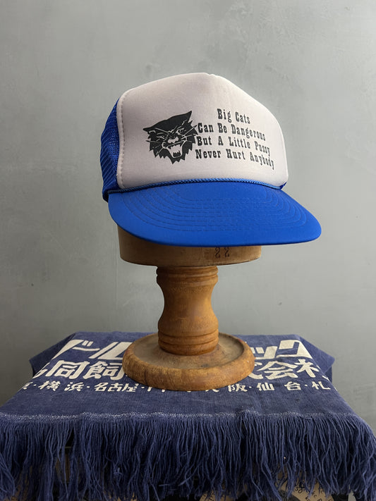 Big Cats Little Pussy Trucker Cap