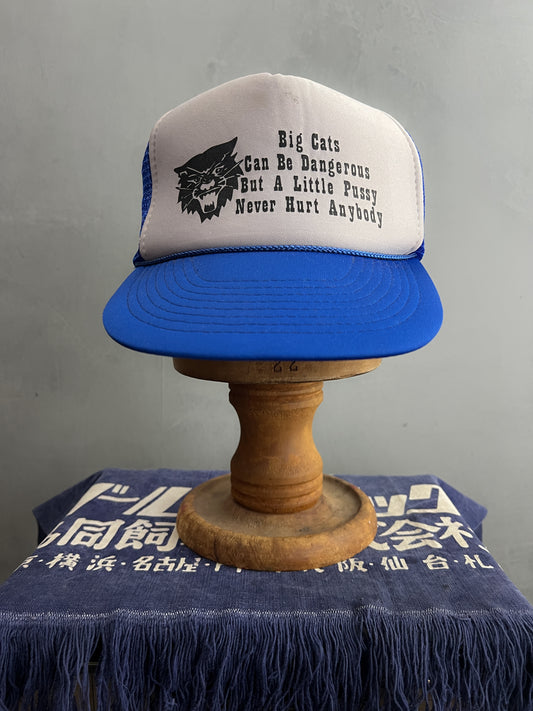 Big Cats Little Pussy Trucker Cap