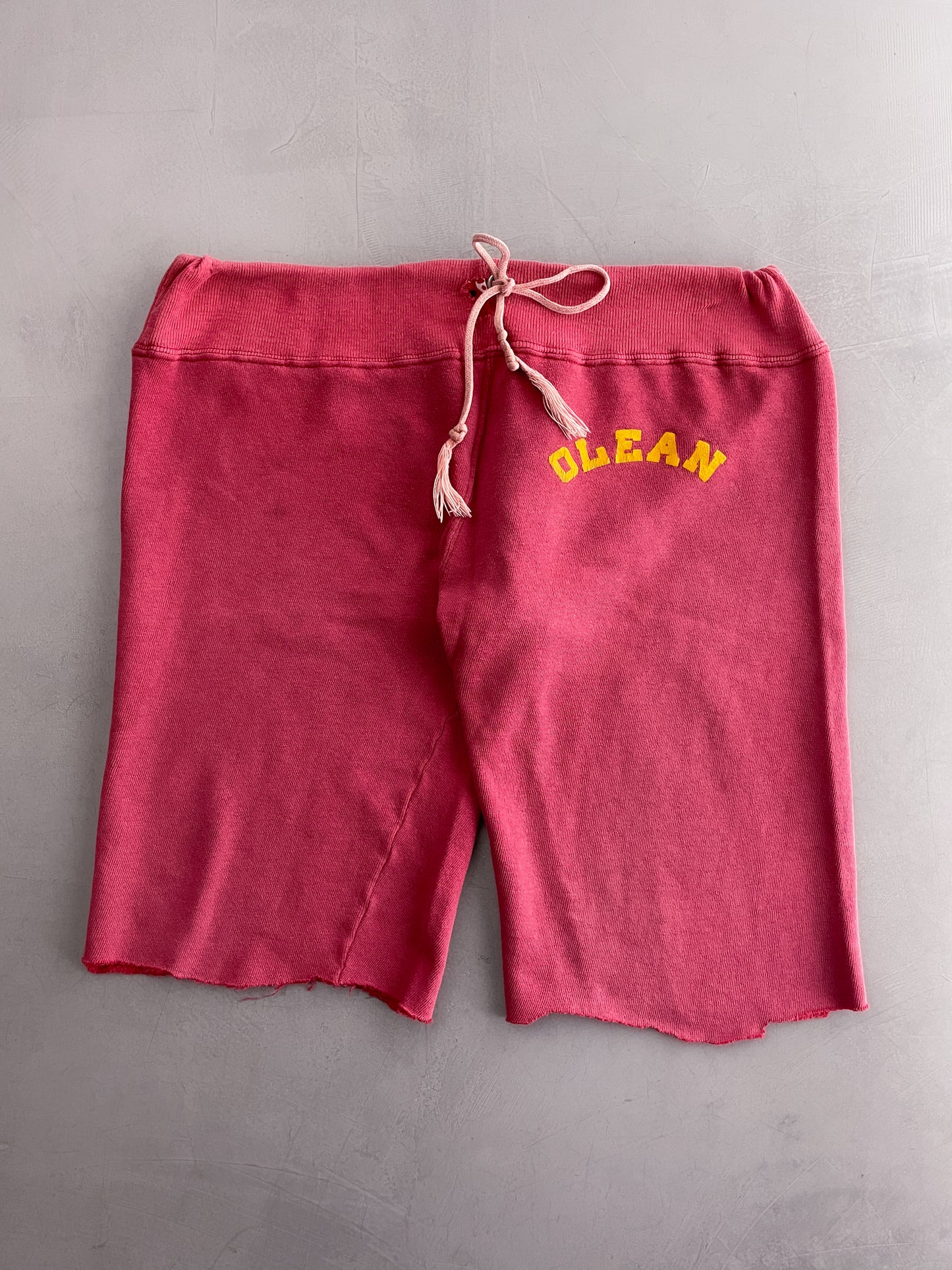 80's Sun-faded Champion Athletic Shorts [30"-32"]