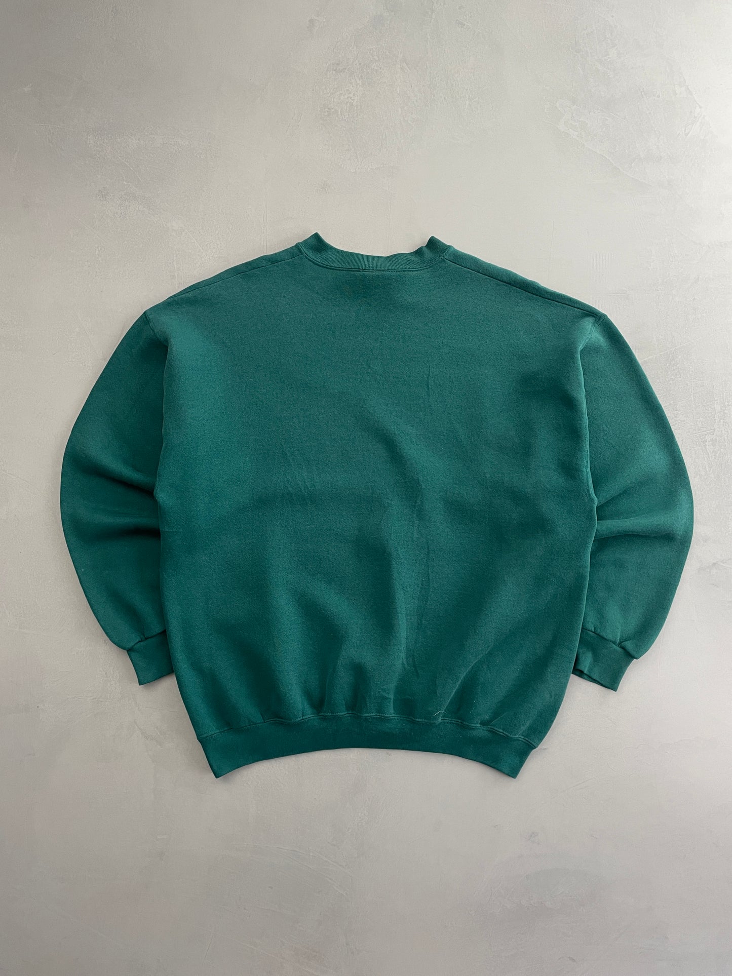 Faded Blank Sweatshirt [L]