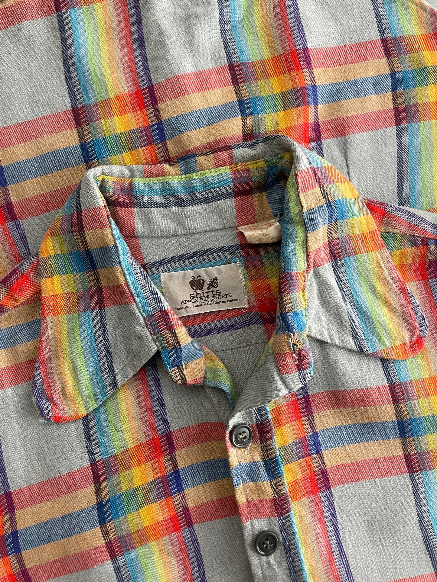 Apple Bee Rainbow Plaid Shirt [L]