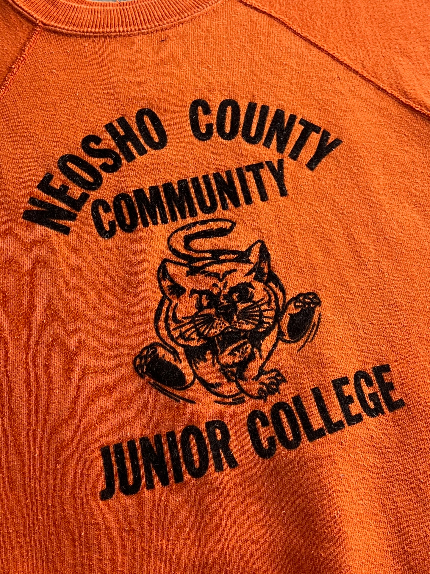 60's Flock Letter Neosho County College Bust-Through Sweatshirt [L]