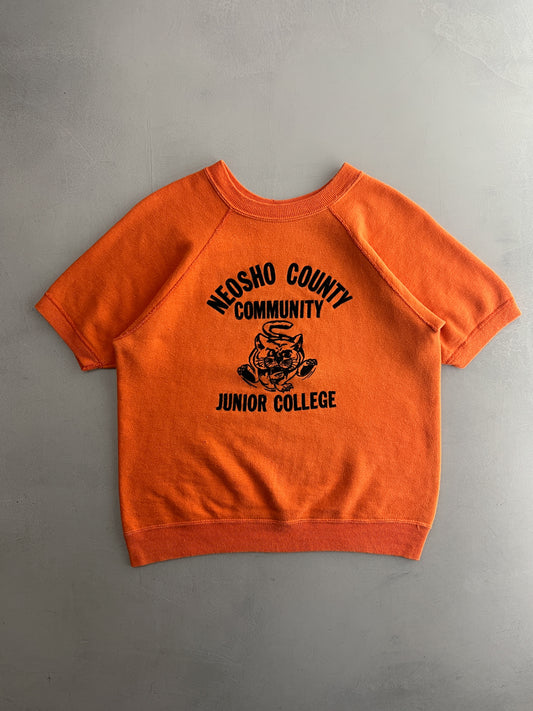 60's Flock Letter Neosho County College Bust-Through Sweatshirt [L]