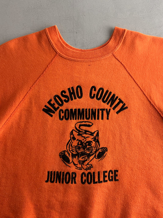 60's Flock Letter Neosho County College Bust-Through Sweatshirt [L]