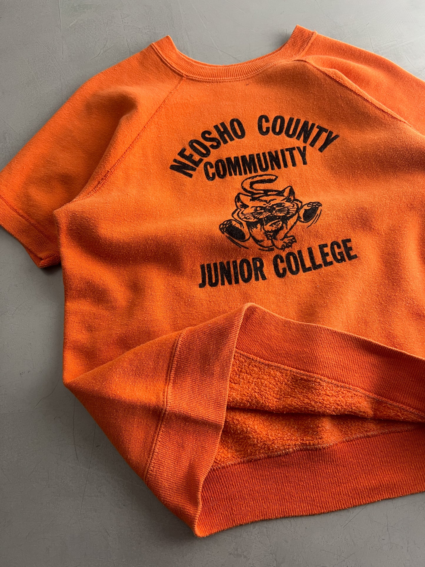 60's Flock Letter Neosho County College Bust-Through Sweatshirt [L]