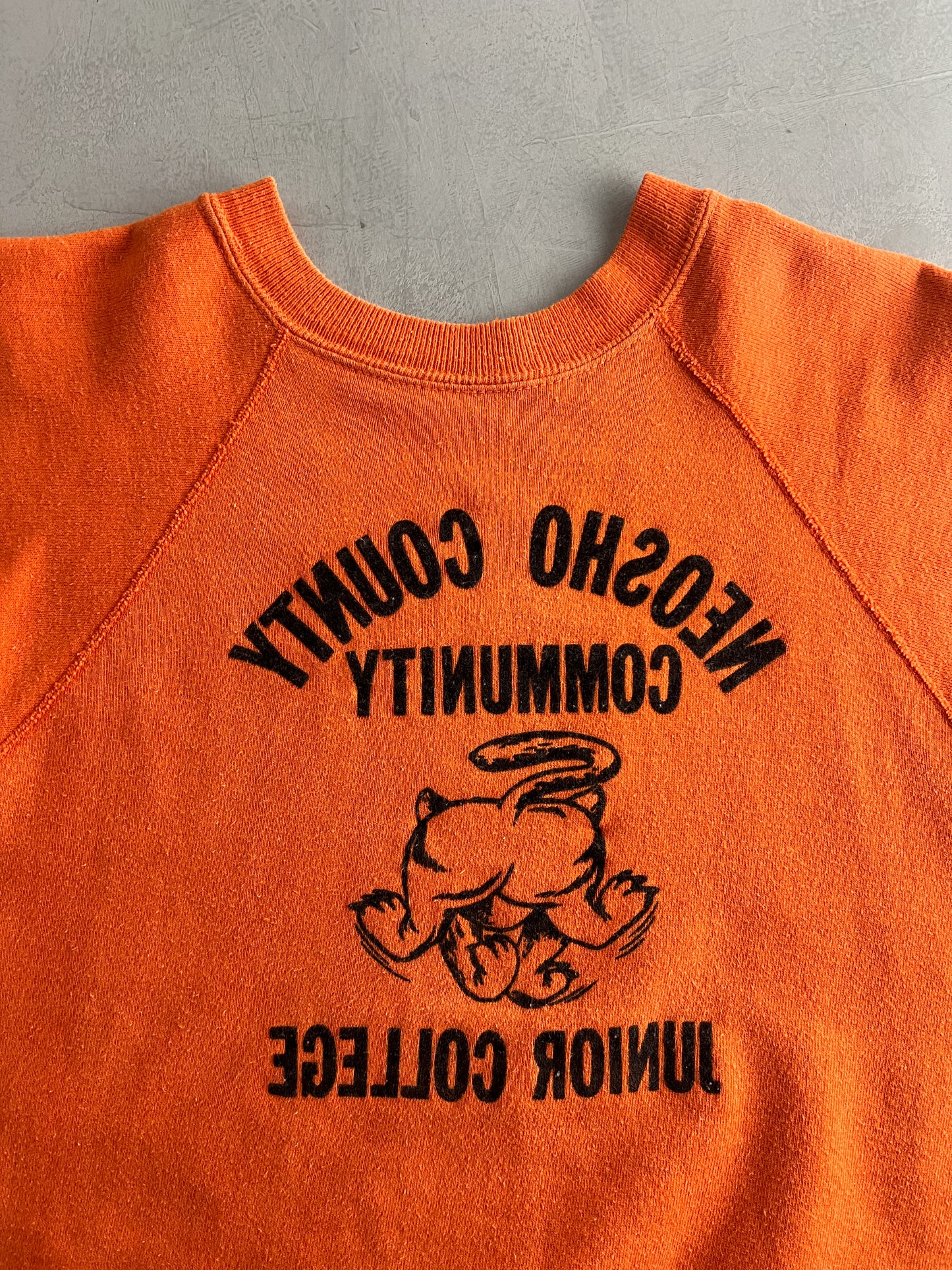 60's Flock Letter Neosho County College Bust-Through Sweatshirt [L]